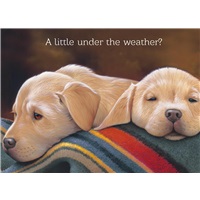 Sleepy Yellow Pups