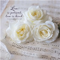 Love Song