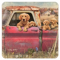 Truck and Goldens