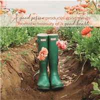 Garden Boots