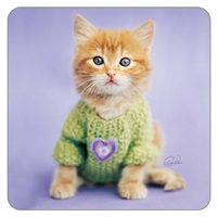 Kitten With Green Sweater