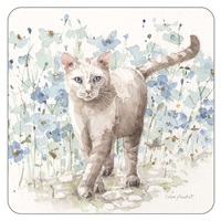 Boho Cat