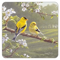 Goldfinches in the Park