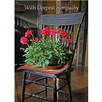 Geraniums on Chair