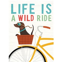 Wild Ride