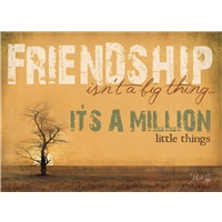 Friendship