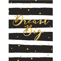 Dream Big