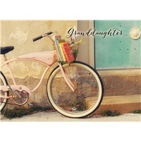 Pink Bike and Books
