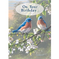 Morning Bluebirds