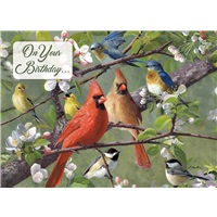 Songbirds