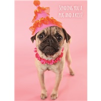 Party Animal