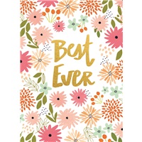 Summer Flowers