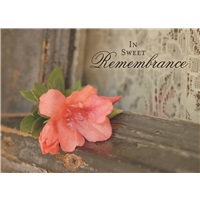 Flower on the Mantle