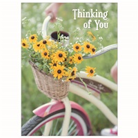 Cheerful Daisies