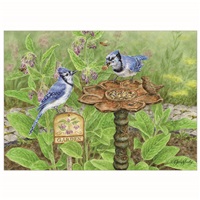 Blue Jays