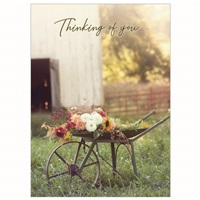 Wheelbarrow Flowers