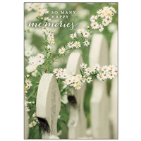 Daisy Fence