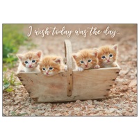 Kitten Tote