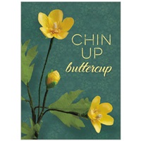 Chin Up