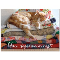 Cat on Quilts