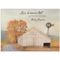 Solo Barn and Weathervane