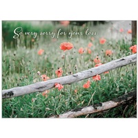 By the Fence