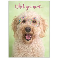 Pup In Round Glasses