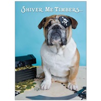 Pirate Bulldog