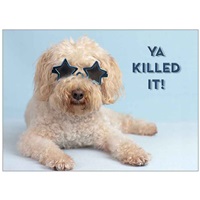 Cool Shades Dog
