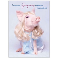 Pig in a Wig