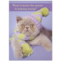 Hat and Scarf Cat