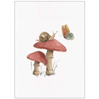 Mushrooms & Snail