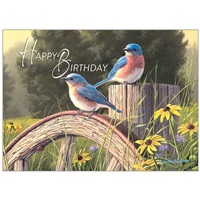 Hazy Morning Bluebirds