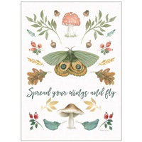Mushroom and Butterfly Study