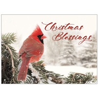 Winter Cardinal
