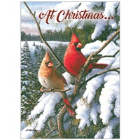 Winter Cardinals