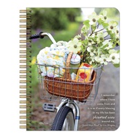 Bike Basket of Goodies