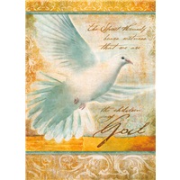 Spirit Dove