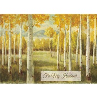 Aspen Birch Trees