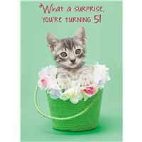 Kitty in Green Pail