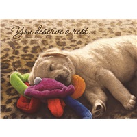 Resting Puppy