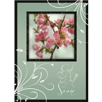 Blossoms