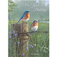Bluebirds in the Meadow