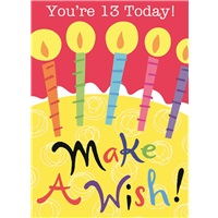 Make a Wish 13