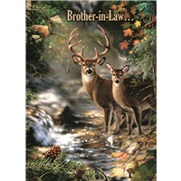 Brother-in-Law Deer