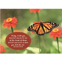 Butterfly Service
