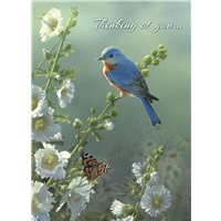 Bluebird & Hollyhocks