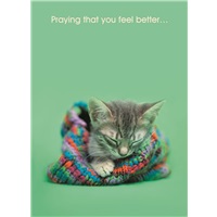Kitty in Knitted Hat