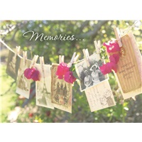 Clothesline Photos