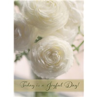 Pure White Peonies